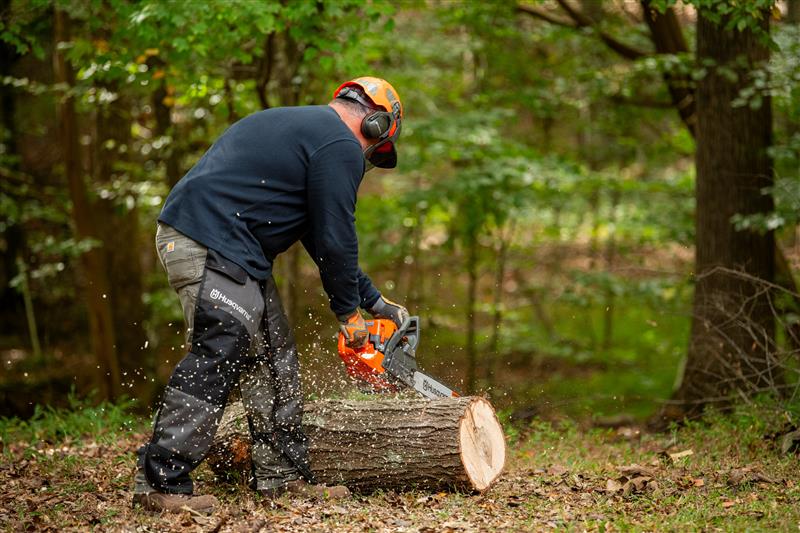Mann der mit einer Husqvarna Motorsäge einen Baum schneidet