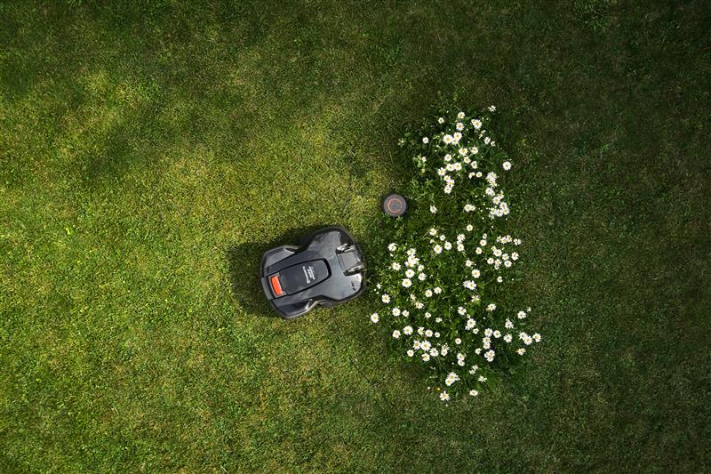 Automower im Garden