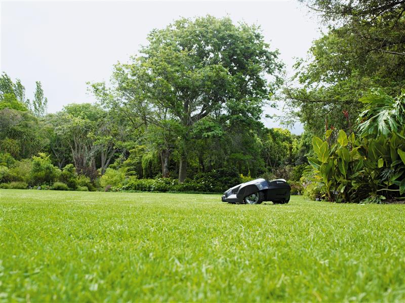 Automower im Garden